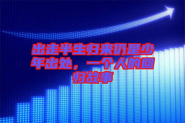 出走半生歸來(lái)仍是少年出處，一個(gè)人的回歸故事