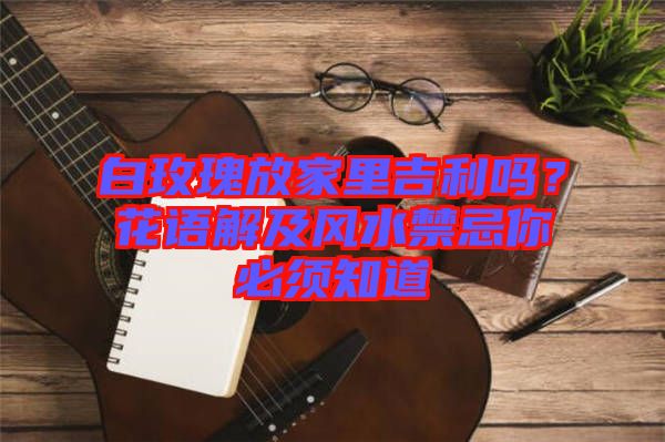 白玫瑰放家里吉利嗎？花語(yǔ)解及風(fēng)水禁忌你必須知道