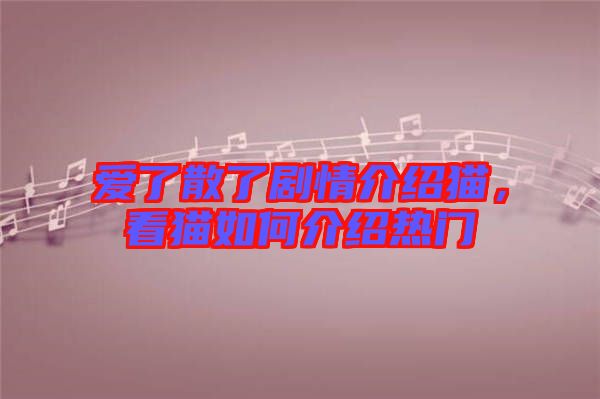 愛了散了劇情介紹貓，看貓如何介紹熱門