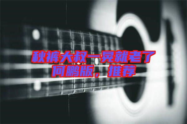 秋褲大叔一晃就老了何鵬版，推薦