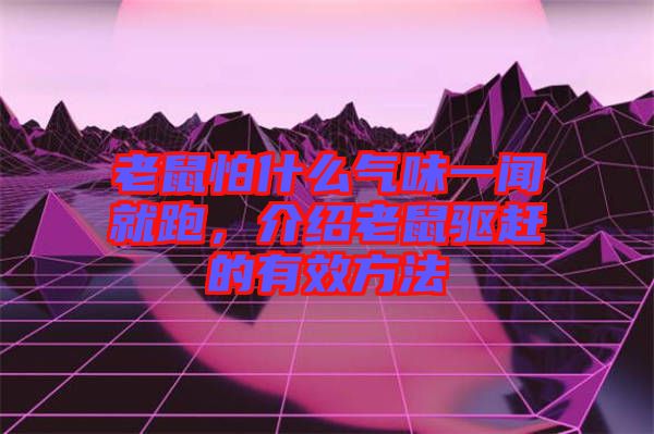老鼠怕什么氣味一聞就跑，介紹老鼠驅(qū)趕的有效方法