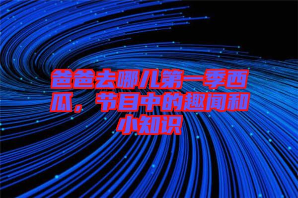 爸爸去哪兒第一季西瓜，節(jié)目中的趣聞和小知識(shí)