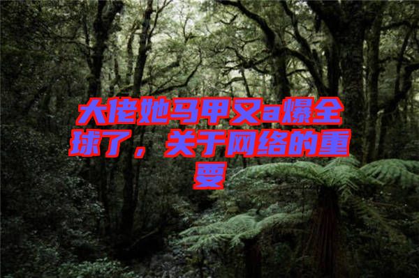 大佬她馬甲又a爆全球了，關(guān)于網(wǎng)絡(luò)的重要