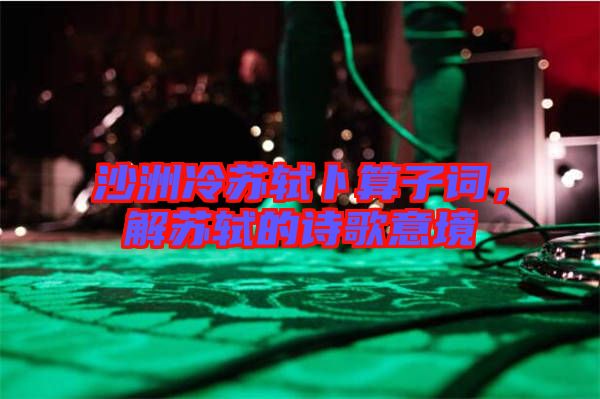 沙洲冷蘇軾卜算子詞，解蘇軾的詩歌意境