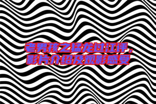 老男孩之猛龍過(guò)江評(píng)，影片介紹及觀影感受