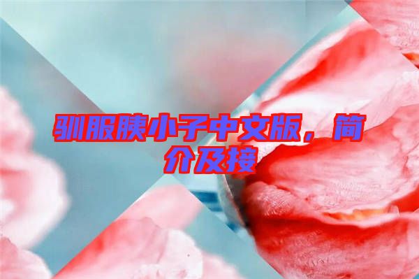 馴服胰小子中文版，簡(jiǎn)介及接