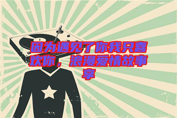 因?yàn)橛鲆?jiàn)了你我只喜歡你，浪漫愛(ài)情故事享