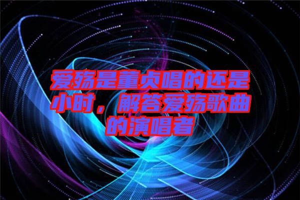 愛(ài)殤是董貞唱的還是小時(shí)，解答愛(ài)殤歌曲的演唱者