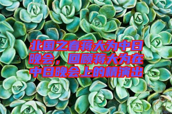 北國(guó)之春蔣大為中日晚會(huì)，回顧蔣大為在中日晚會(huì)上的精演出