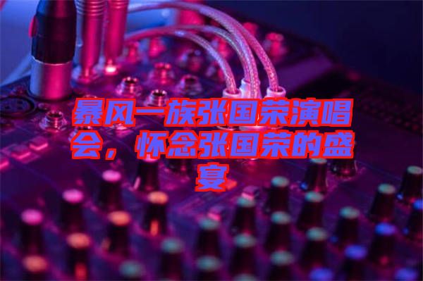 暴風(fēng)一族張國榮演唱會，懷念張國榮的盛宴