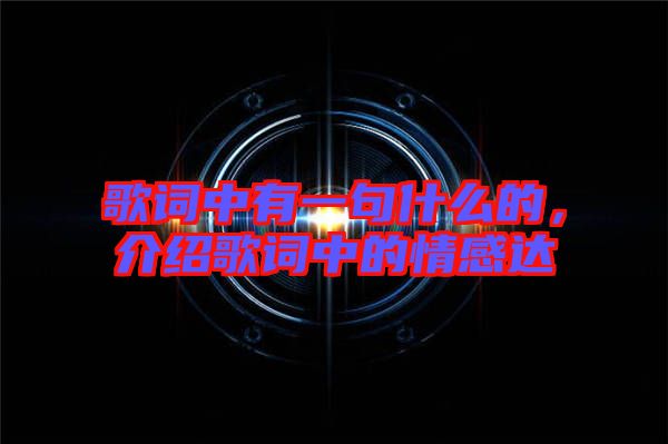 歌詞中有一句什么的，介紹歌詞中的情感達