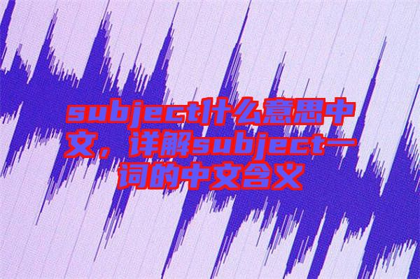 subject什么意思中文，詳解subject一詞的中文含義