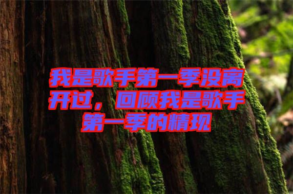 我是歌手第一季沒離開過，回顧我是歌手第一季的精現(xiàn)