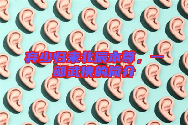 棄少歸來北辰本尊，一部武俠的簡介