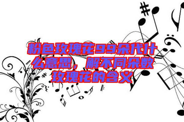 粉色玫瑰花99朵代什么意思，解不同朵數(shù)玫瑰花的含義