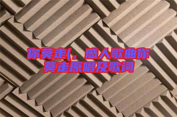 你莫走(，感人歌曲你莫走原唱及歌詞