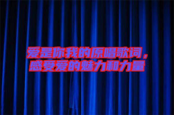 愛是你我的原唱歌詞，感受愛的魅力和力量