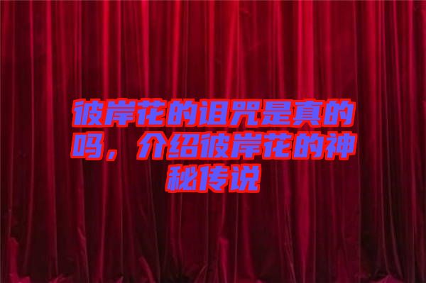 彼岸花的詛咒是真的嗎，介紹彼岸花的神秘傳說(shuō)