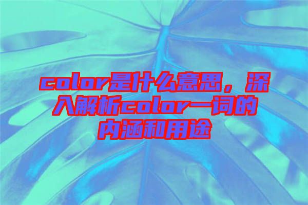 color是什么意思，深入解析color一詞的內(nèi)涵和用途