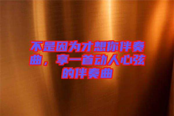 不是因為才想你伴奏曲，享一首動人心弦的伴奏曲