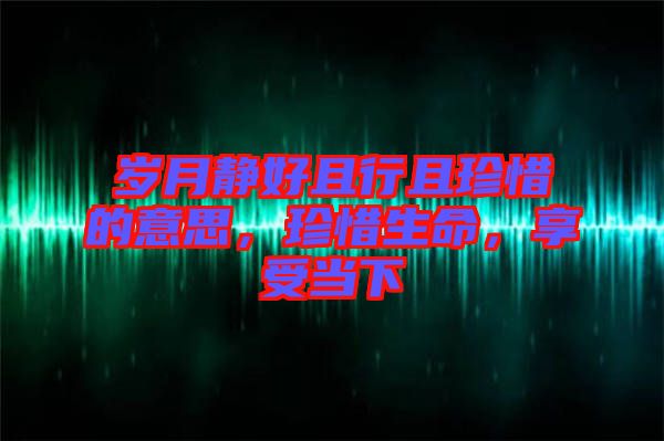 歲月靜好且行且珍惜的意思，珍惜生命，享受當(dāng)下