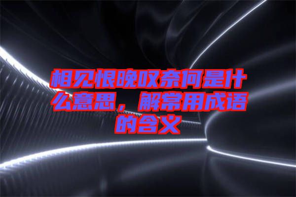 相見恨晚嘆奈何是什么意思，解常用成語的含義