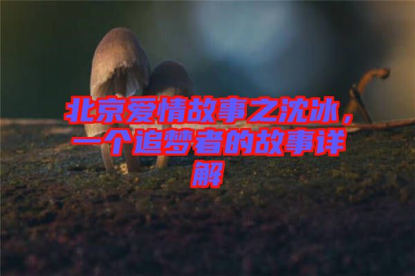 北京愛情故事之沈冰，一個(gè)追夢者的故事詳解