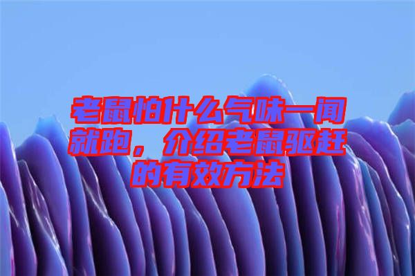 老鼠怕什么氣味一聞就跑，介紹老鼠驅趕的有效方法