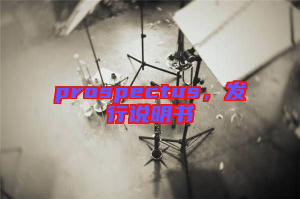 prospectus，發(fā)行說明書
