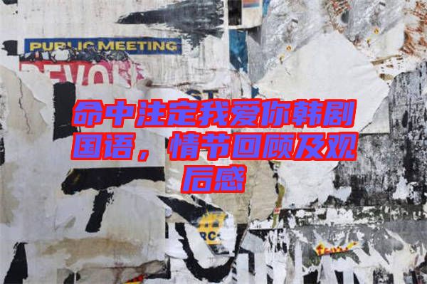 命中注定我愛你韓劇國語，情節(jié)回顧及觀后感