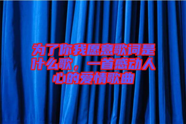 為了你我愿意歌詞是什么歌，一首感動人心的愛情歌曲