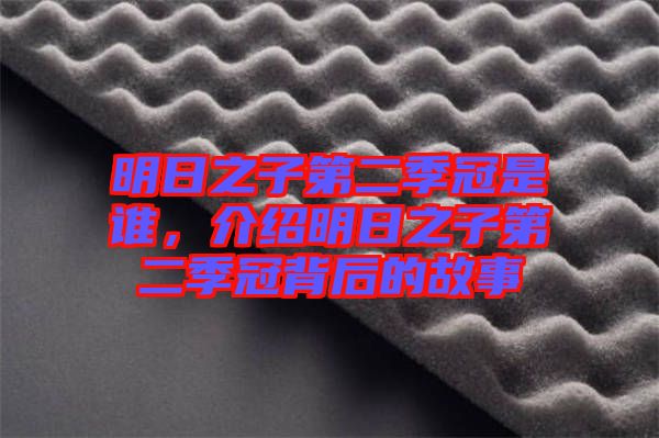 明日之子第二季冠是誰，介紹明日之子第二季冠背后的故事
