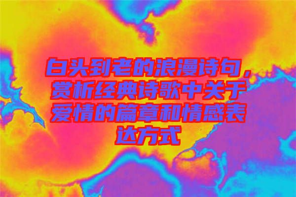 白頭到老的浪漫詩(shī)句，賞析經(jīng)典詩(shī)歌中關(guān)于愛(ài)情的篇章和情感表達(dá)方式