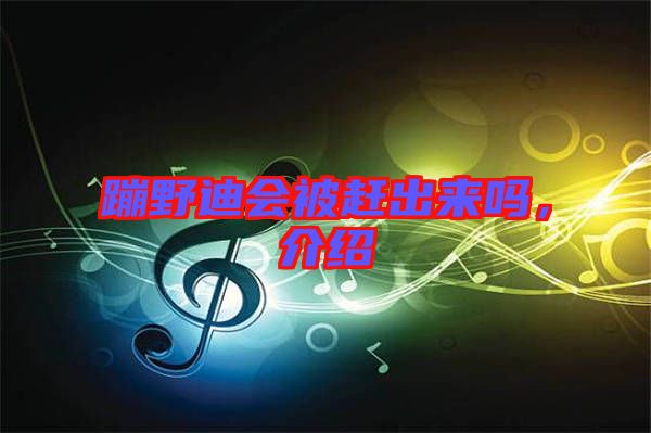 蹦野迪會(huì)被趕出來(lái)嗎，介紹