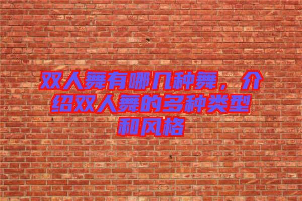 雙人舞有哪幾種舞，介紹雙人舞的多種類型和風(fēng)格