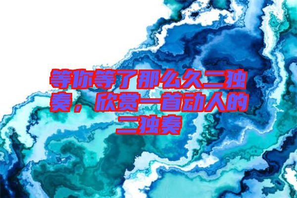 等你等了那么久二獨(dú)奏，欣賞一首動人的二獨(dú)奏