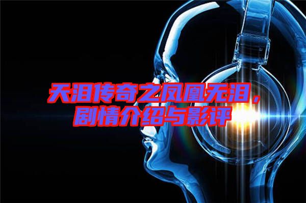 天淚傳奇之鳳凰無淚，劇情介紹與影評