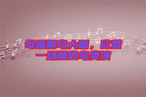 母畫眉鳥大唱，欣賞一場精的鳥類演