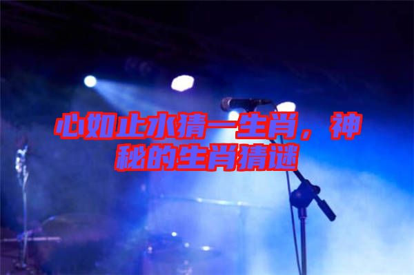 心如止水猜一生肖，神秘的生肖猜謎