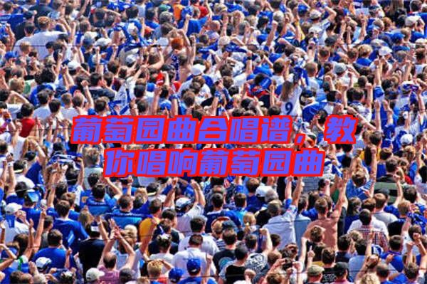 葡萄園曲合唱譜，教你唱響葡萄園曲