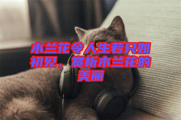 木蘭花令人生若只如初見，賞析木蘭花的美麗