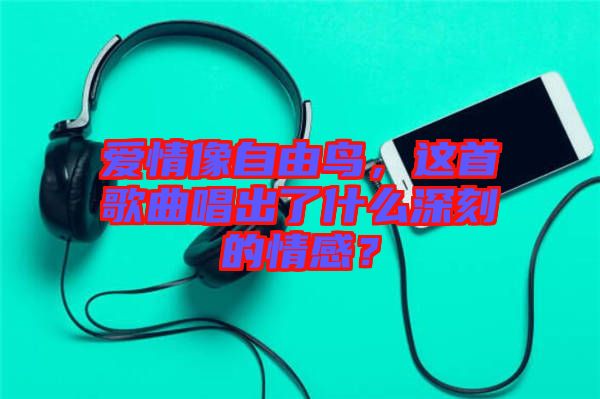 愛情像自由鳥，這首歌曲唱出了什么深刻的情感？
