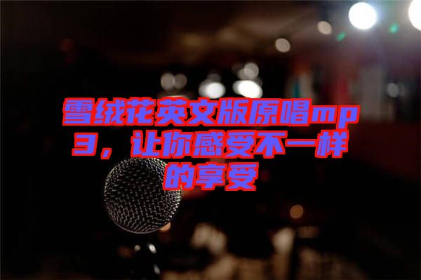 雪絨花英文版原唱mp3，讓你感受不一樣的享受