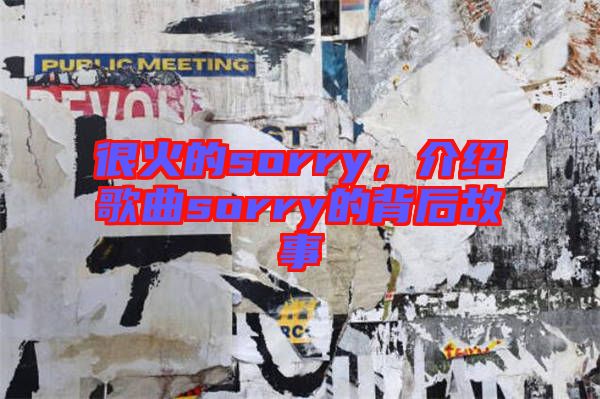 很火的sorry，介紹歌曲sorry的背后故事