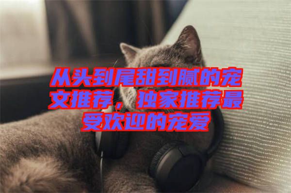 從頭到尾甜到膩的寵文推薦，獨家推薦最受歡迎的寵愛