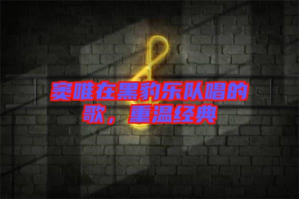 竇唯在黑豹樂(lè)隊(duì)唱的歌，重溫經(jīng)典