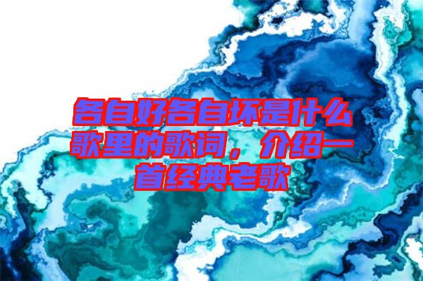 各自好各自壞是什么歌里的歌詞，介紹一首經(jīng)典老歌
