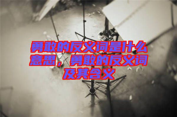 勇敢的反義詞是什么意思，勇敢的反義詞及其含義