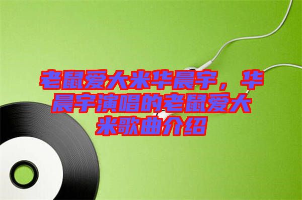 老鼠愛大米華晨宇，華晨宇演唱的老鼠愛大米歌曲介紹