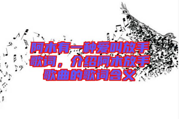 阿木有一種愛叫放手歌詞，介紹阿木放手歌曲的歌詞含義